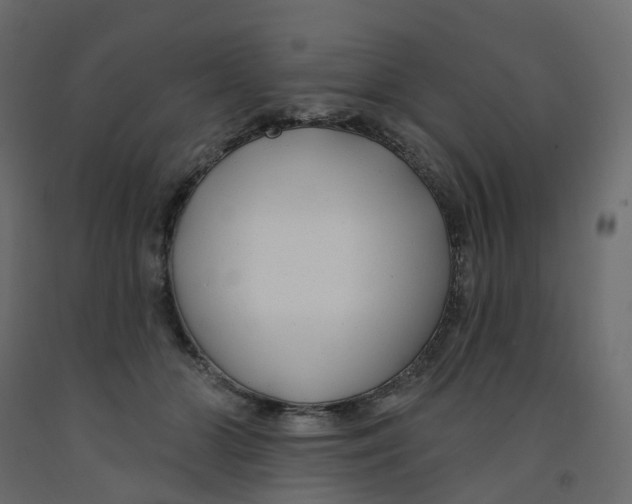X0000091990510200710041132