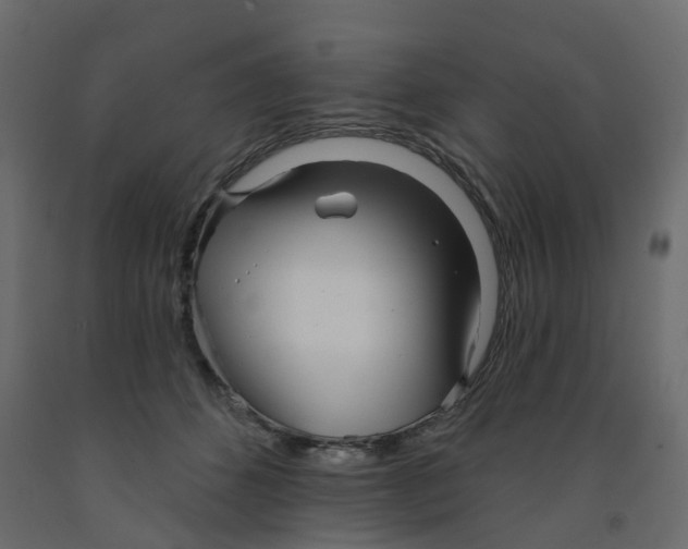 X0000091990512200710041132