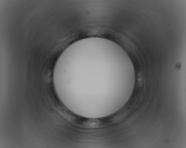 X0000091990514200710041132