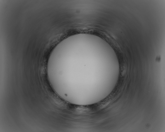 X0000091990515200710041132