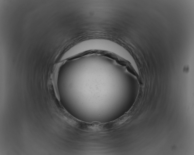 X0000091990516200710041132