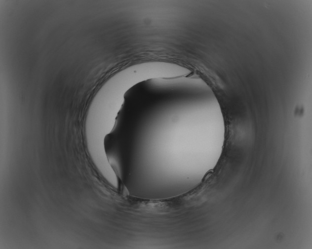 X0000091990517200710041132