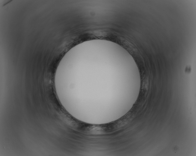 X0000091990518200710041132