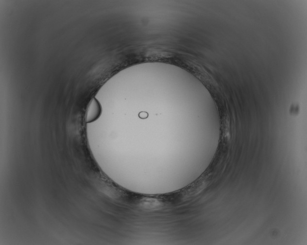X0000091990519200710041132