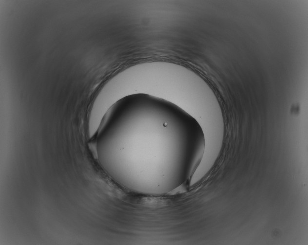 X0000091990520200710041132