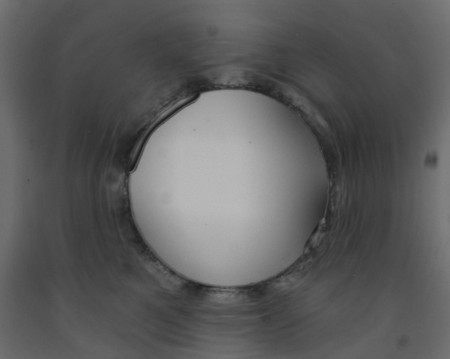 X0000091990521200710041132