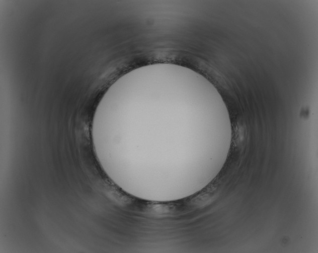 X0000091990522200710041132