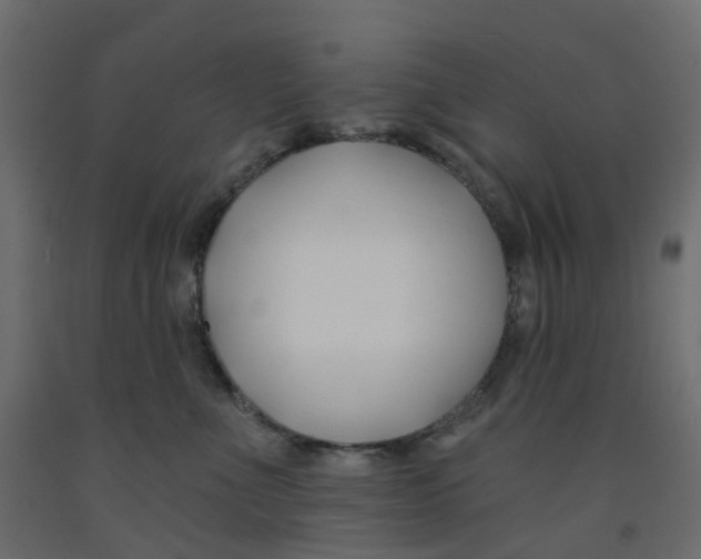 X0000091990523200710041132
