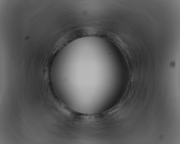 X0000091990524200710041132