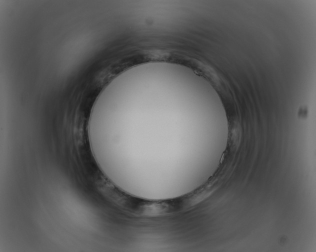 X0000091990525200710041132