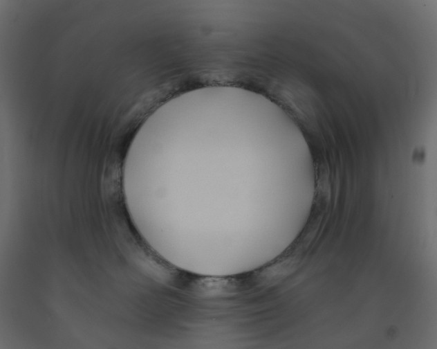 X0000091990526200710041132