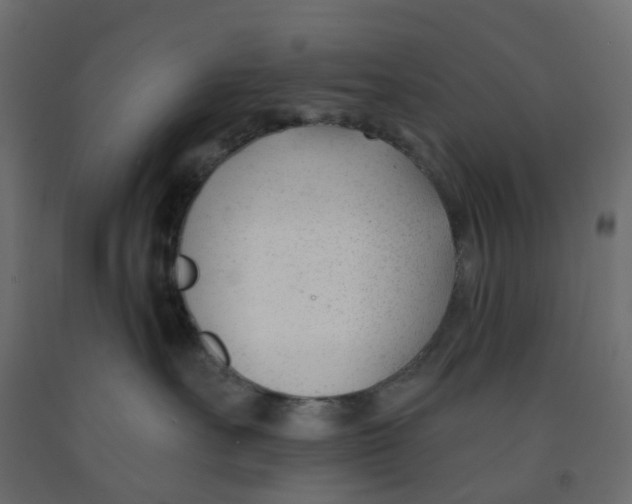 X0000091990527200710041132