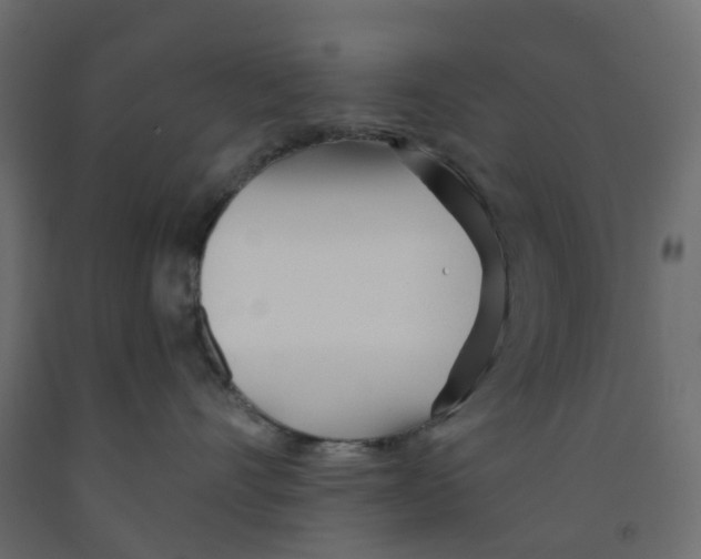X0000091990528200710041132