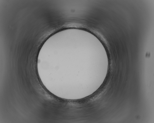 X0000091990529200710041132