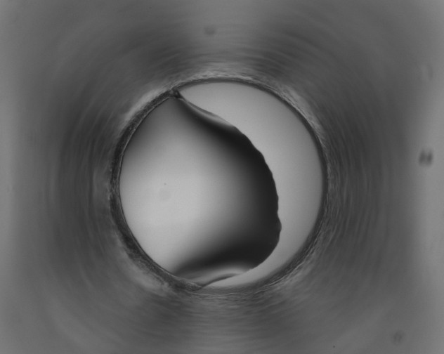 X0000091990530200710041132