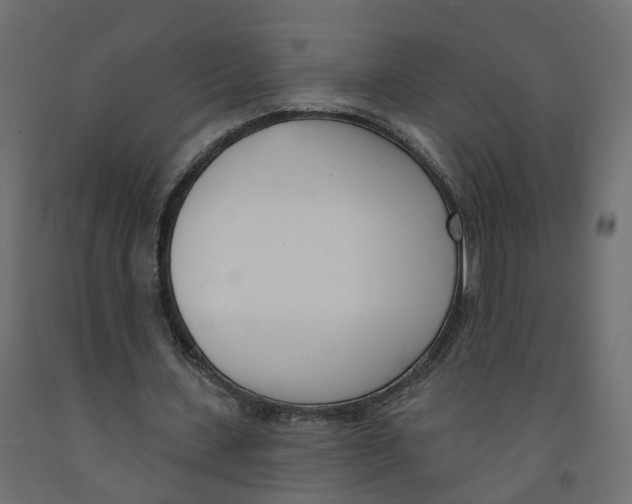 X0000091990531200710041132