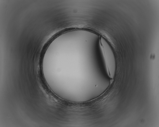 X0000091990532200710041132