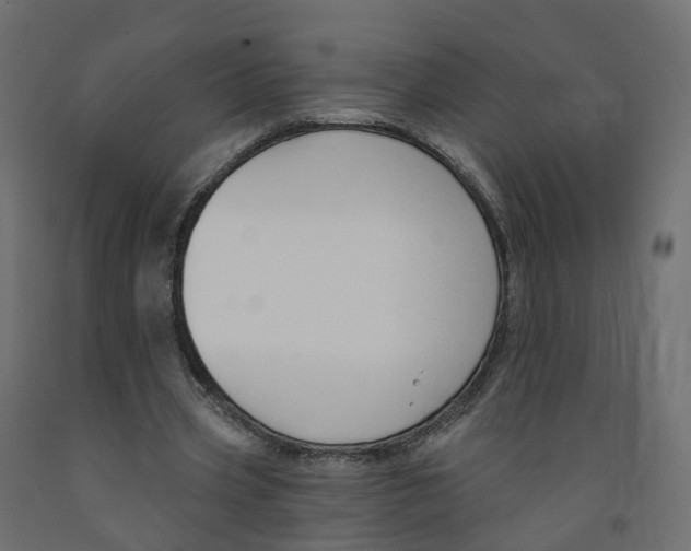 X0000091990533200710041132