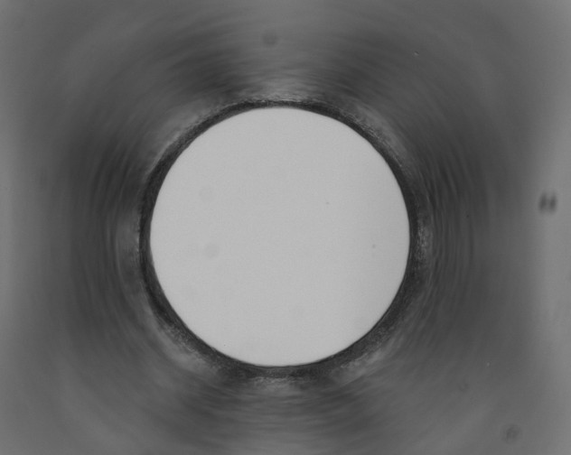 X0000091990534200710041132