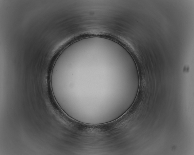 X0000091990535200710041132