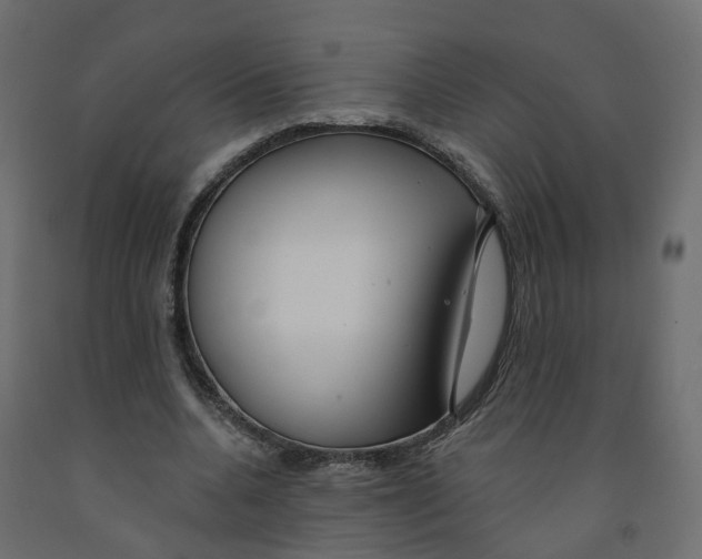 X0000091990536200710041132