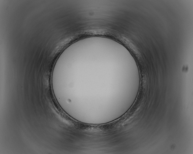 X0000091990537200710041132
