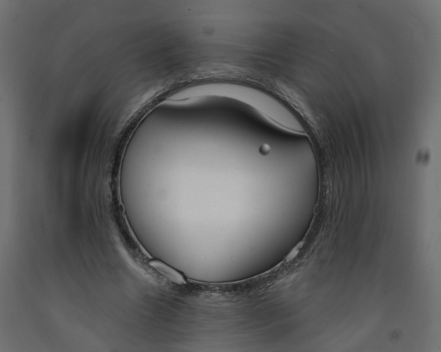 X0000091990538200710041132
