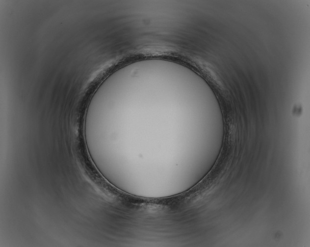 X0000091990539200710041132