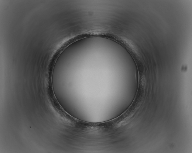 X0000091990540200710041132