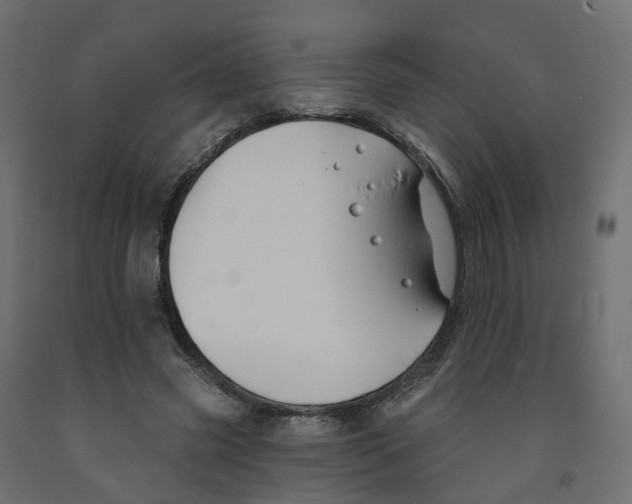 X0000091990541200710041132