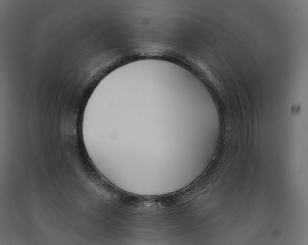 X0000091990543200710041132