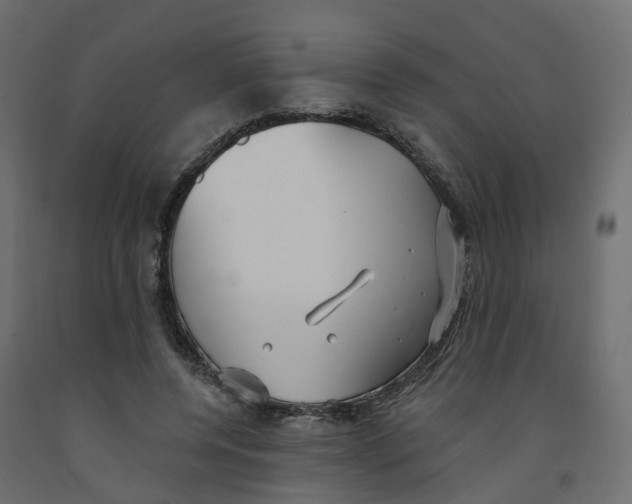 X0000091990544200710041132