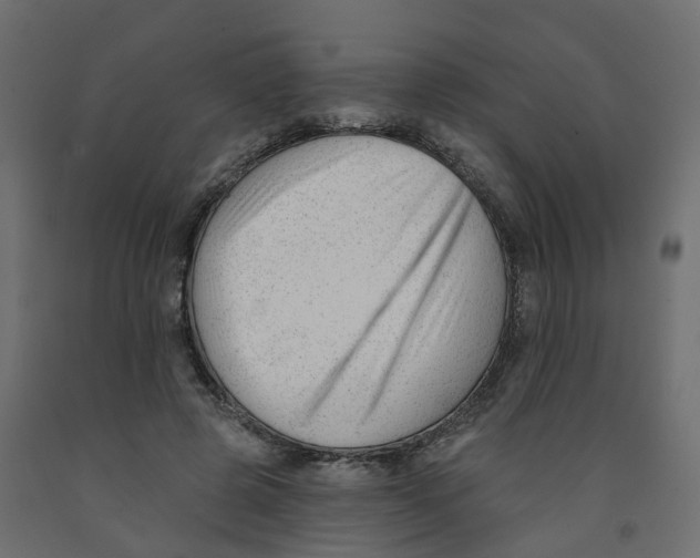 X0000091990545200710041132