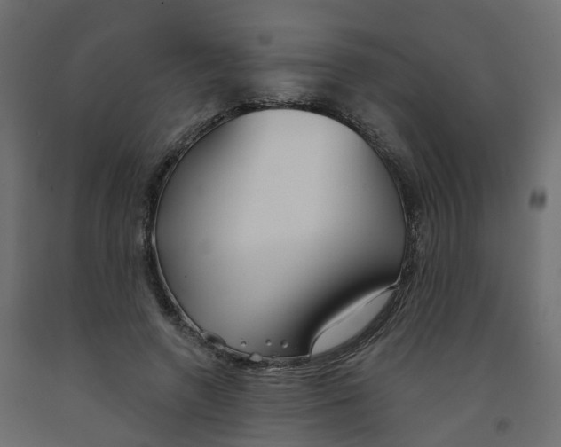 X0000091990546200710041132