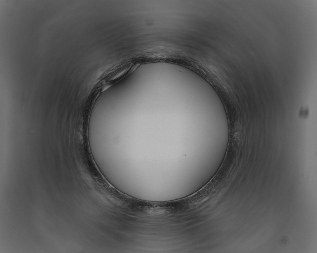 X0000091990547200710041132