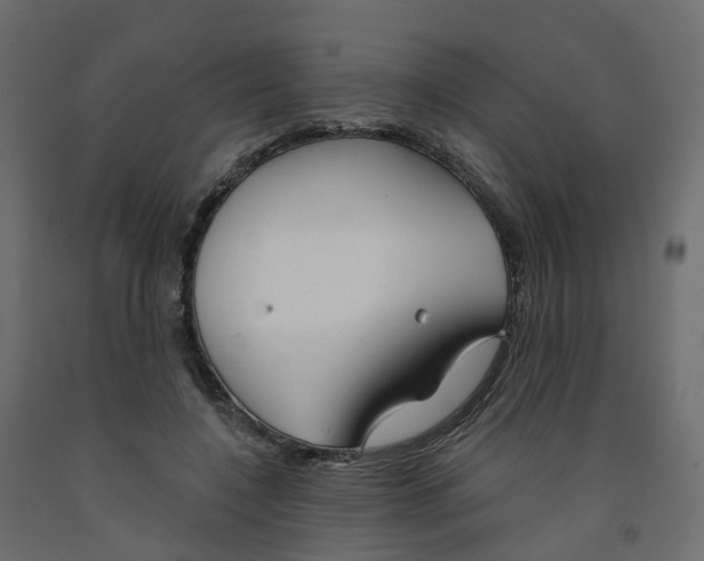 X0000091990548200710041132