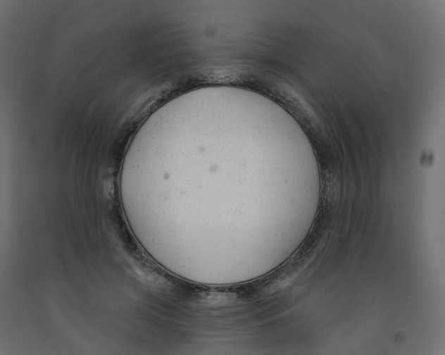 X0000091990549200710041132