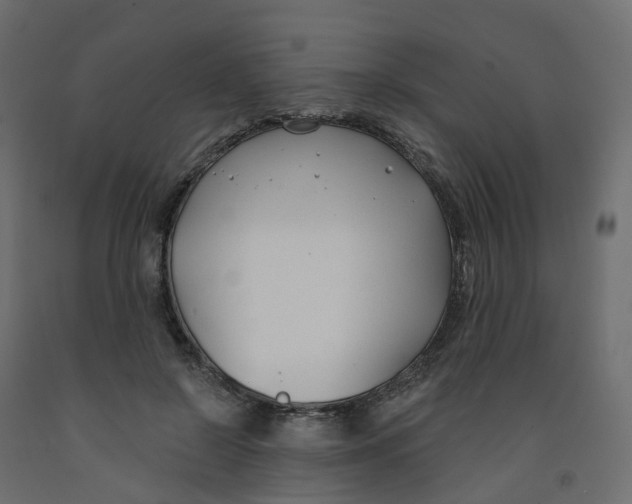 X0000091990550200710041132