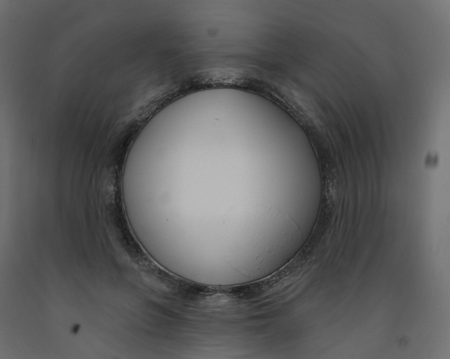 X0000091990551200710041132