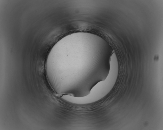 X0000091990554200710041132