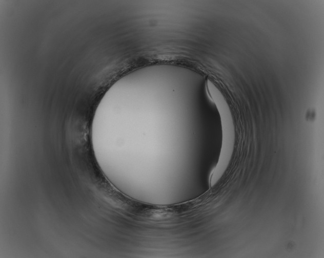 X0000091990555200710041132