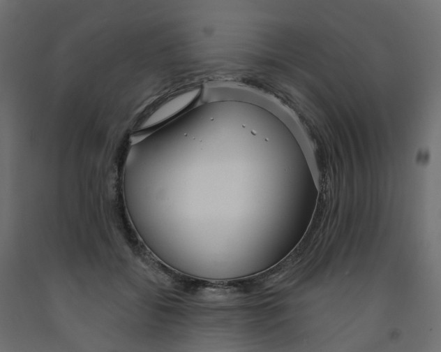 X0000091990556200710041132