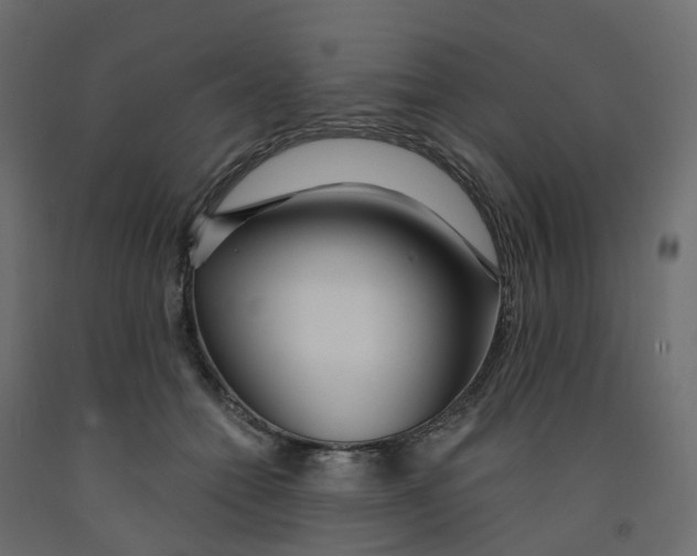 X0000091990558200710041132