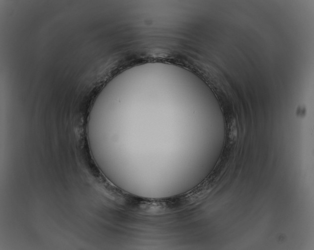 X0000091990559200710041132