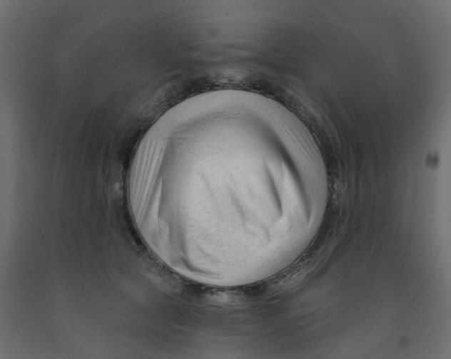 X0000091990561200710041132