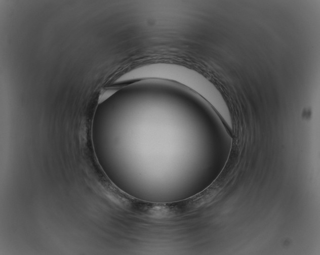 X0000091990562200710041132