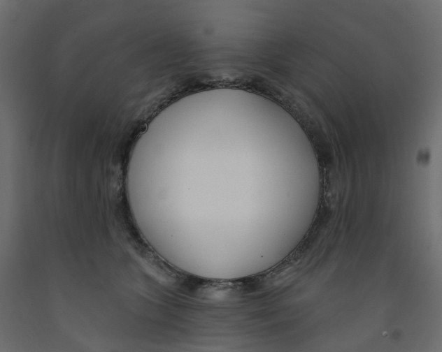 X0000091990563200710041132