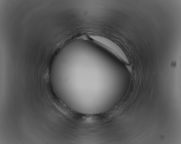X0000091990564200710041132