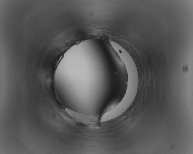 X0000091990566200710041132