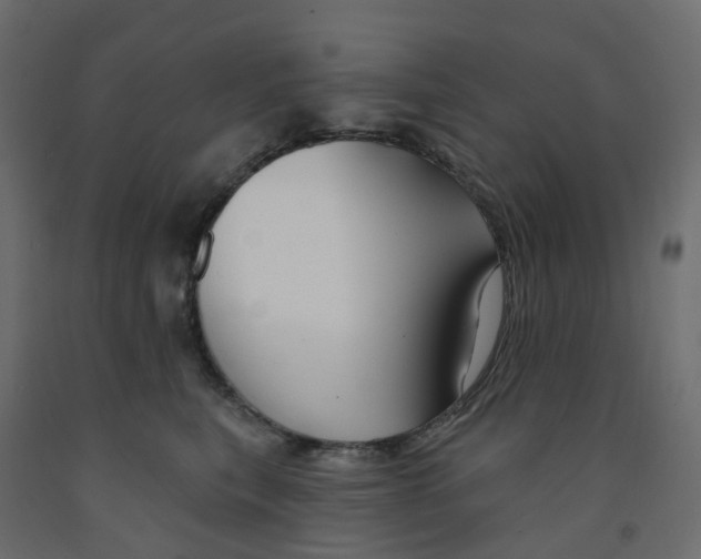 X0000091990567200710041132